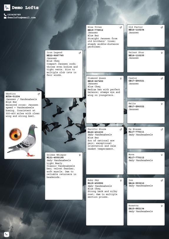 Birds in Flight